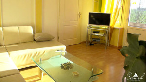 Pension Seenah - Wohnzimmer mit Flatscreen – Ferienwohnung